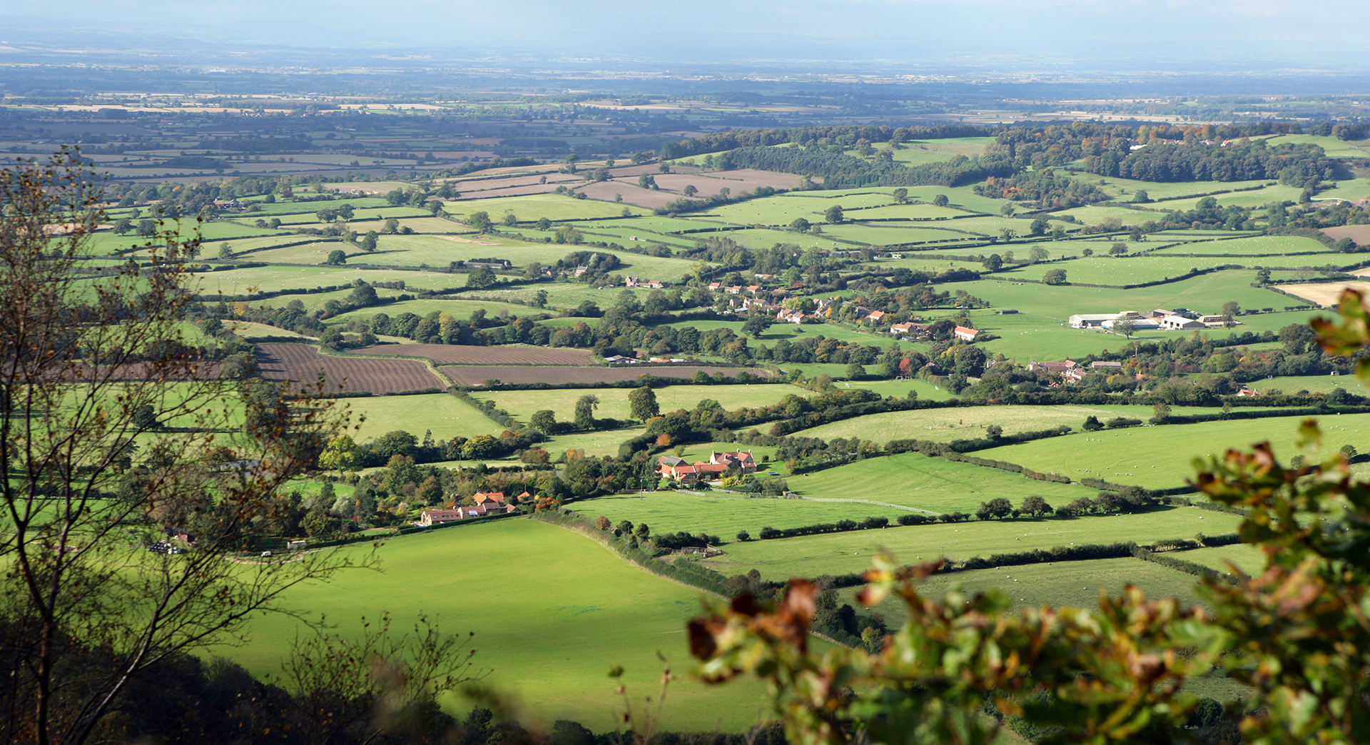 View from roseberry topping