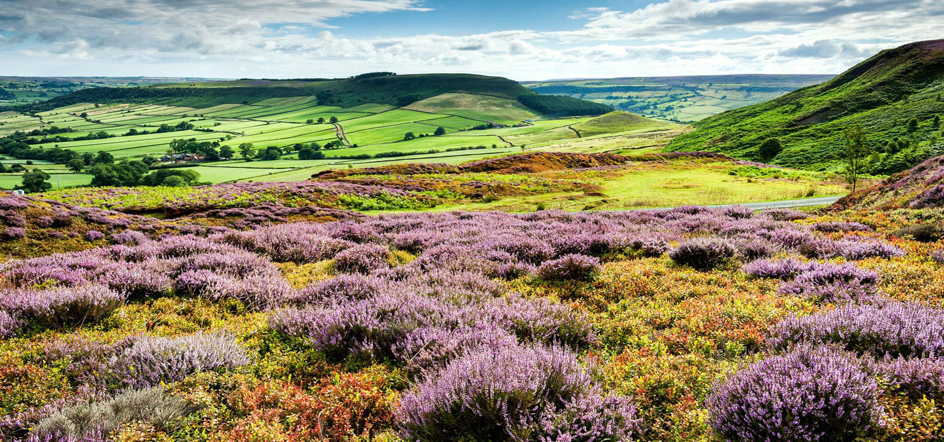 North york moors